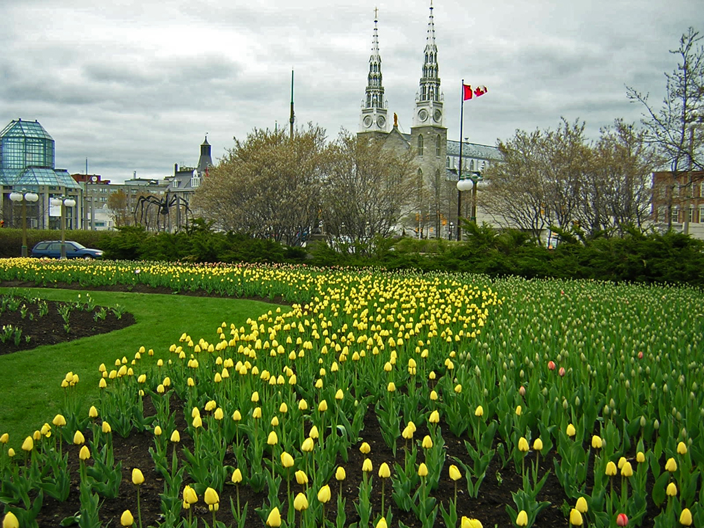 04-May-08