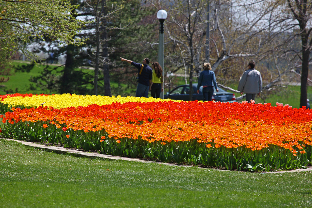 05-May-08