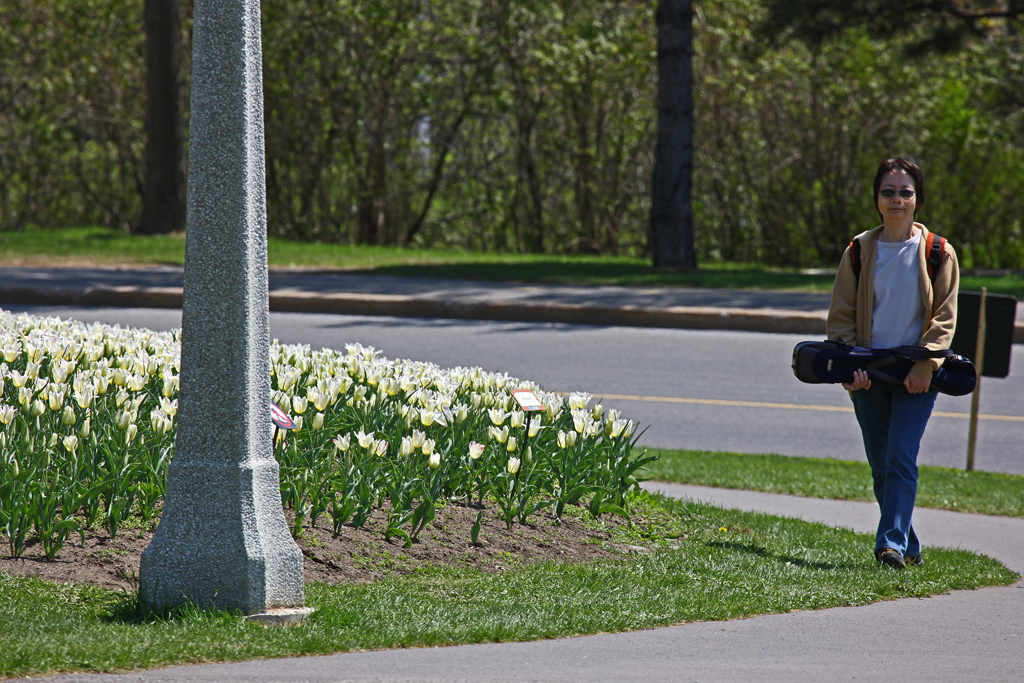05-May-08