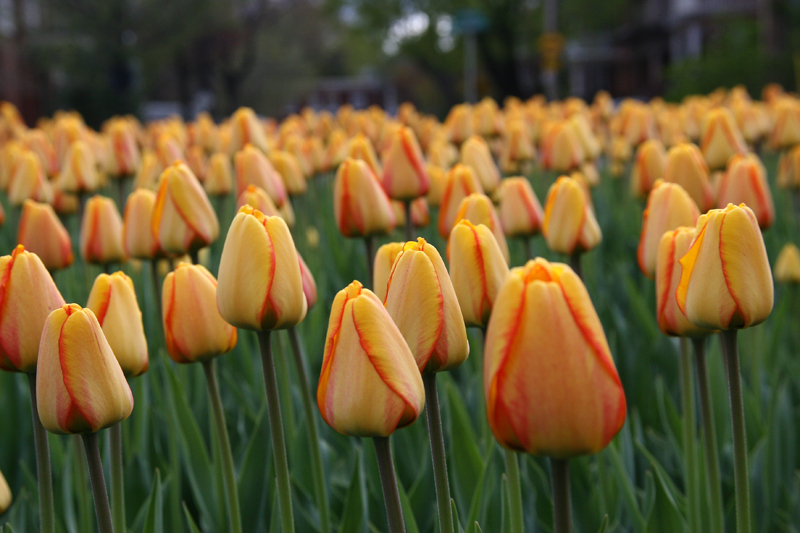 04-May-08
