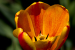 05-May-08