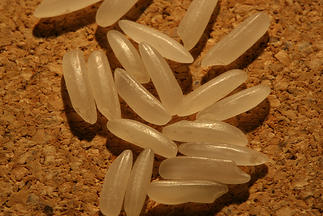 White rice