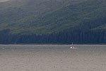 Day 3 -- Icy Strait Point