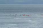 Day 3 -- Icy Strait Point