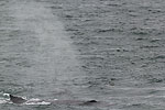 Day 3 -- Icy Strait Point