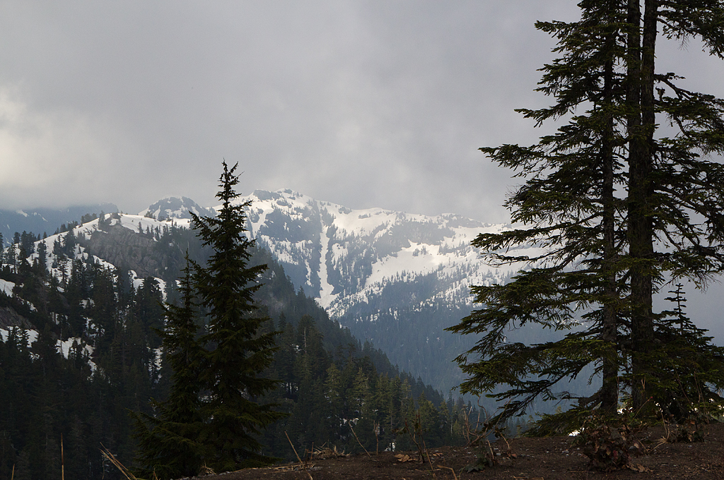 Grouse Mountain