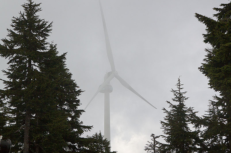 Grouse Mountain
