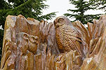 Grouse Mountain