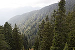 Grouse Mountain
