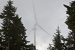 Grouse Mountain