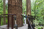 Capilano Suspension Bridge